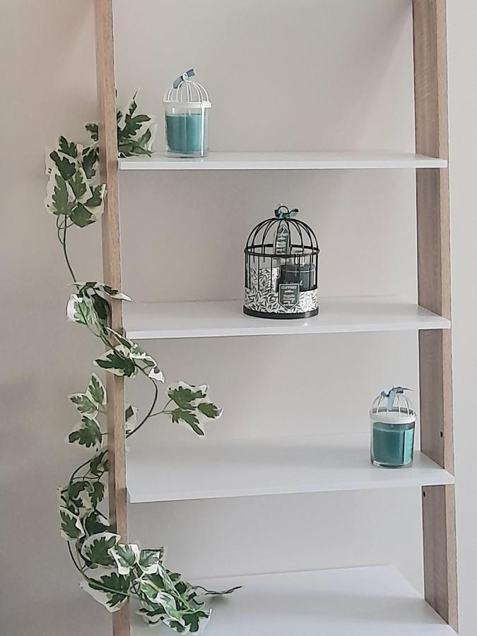 דירות ז'ואני Le Scandinave מראה חיצוני תמונה